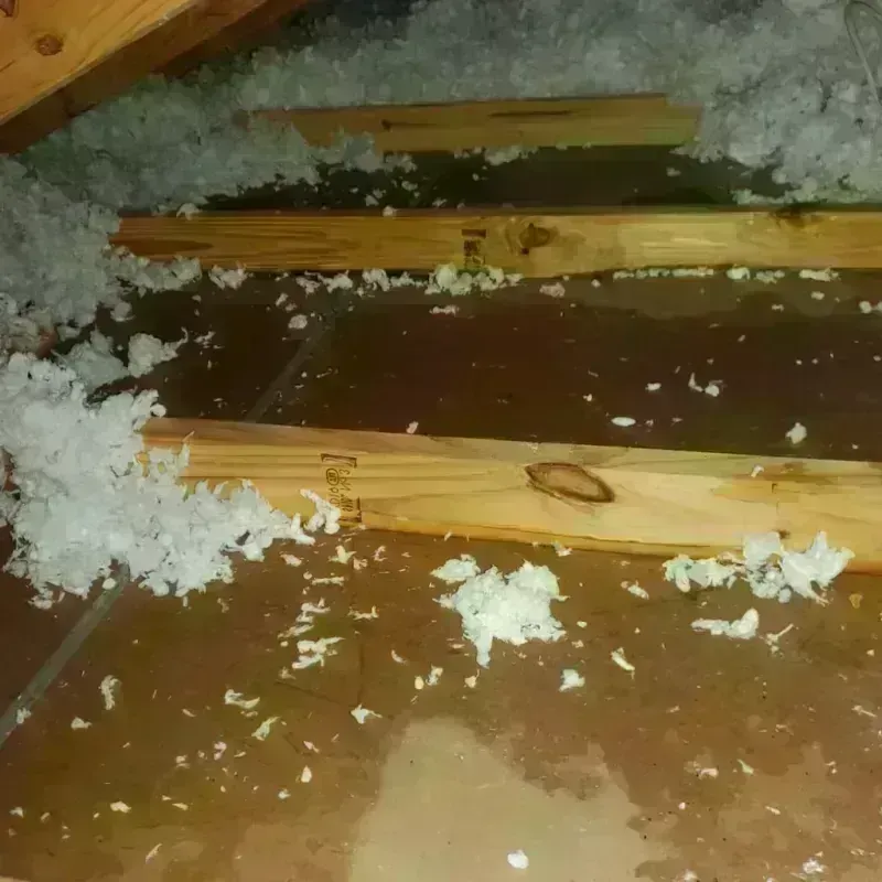 Attic Water Damage in Alpharetta, GA