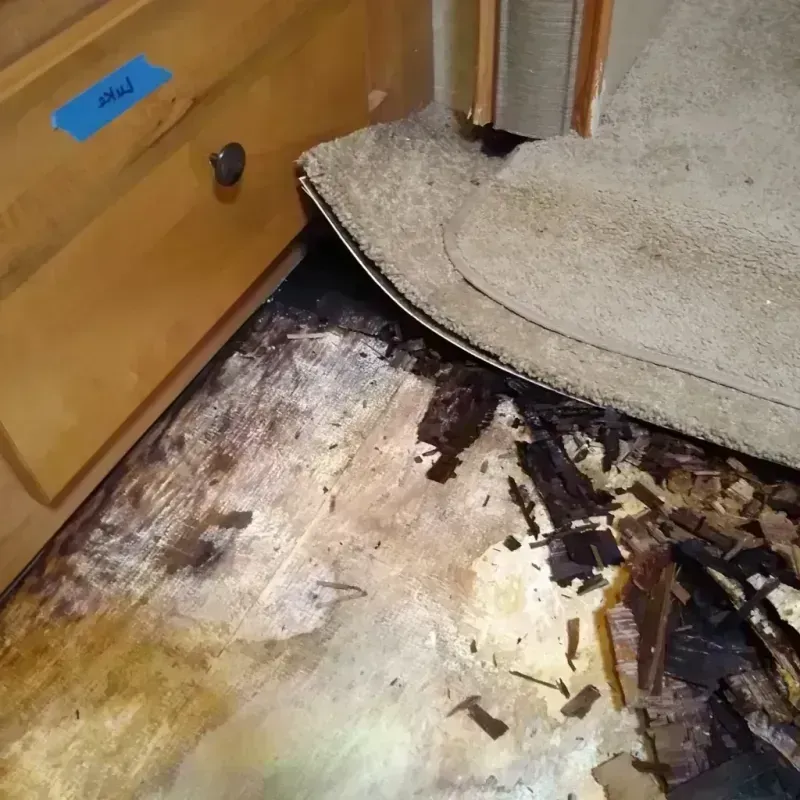 Wood Floor Water Damage in Alpharetta, GA